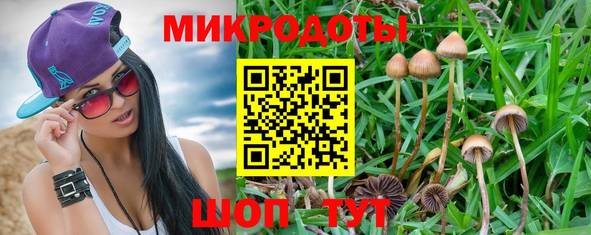 Кудрово  Псилоцибиновые грибы прущие грибы  Вход с VPN 