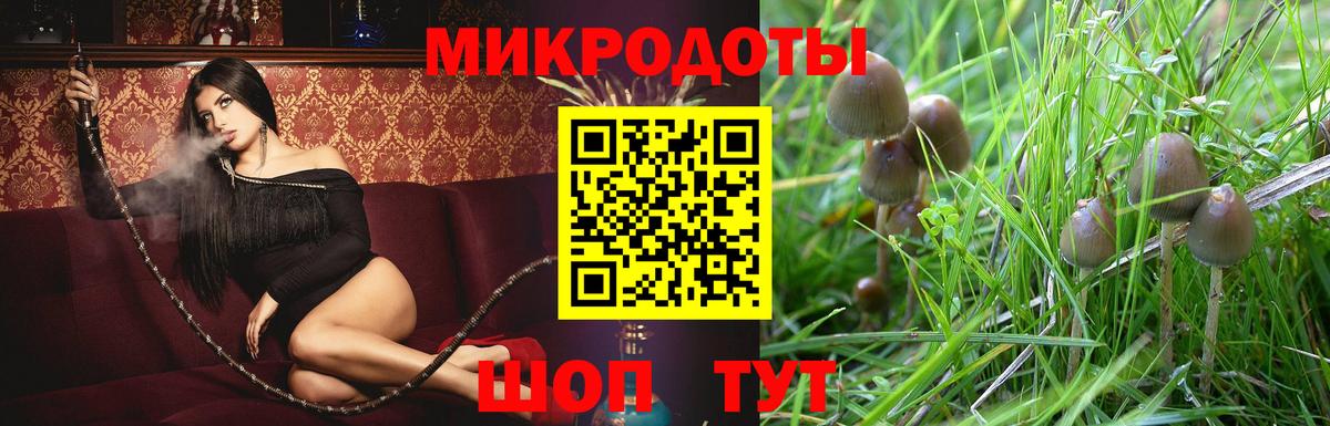 Псилоцибиновые грибы мухоморы Кудрово